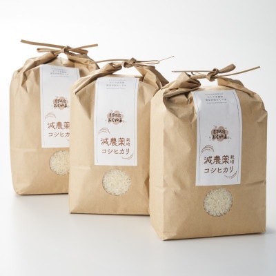 R7年産 濃厚な甘み! 岩船産コシヒカリ 精米6kg(2kg×3袋)[農家民宿おくやま]
