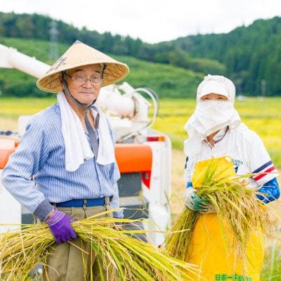 R7年産 関川村産こしひかり 精米5kg ふっくら美味しさ 岩船米 [横山農産]