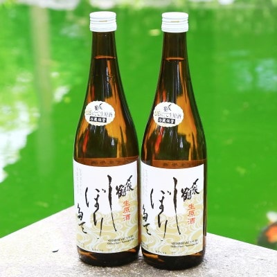 【冬季限定】【12月下旬発送予定】蔵出し 〆張鶴しぼりたて生原酒720ml×2本 関川の味【配送不可地域：離島】