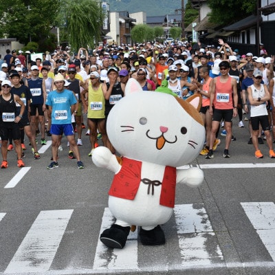 2026年6月21日開催 関川マラソン 大会エントリー権 マラソン スポーツイベント 12km