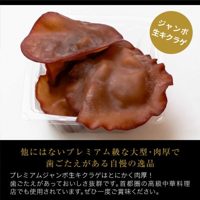 肉厚でプレミアムジャンボ!あらかわ生しいたけ＆生キクラゲセット【配送不可地域：離島】