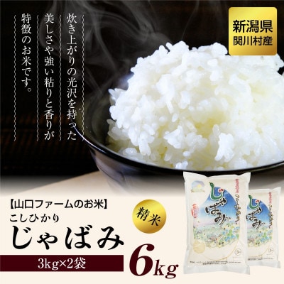 【毎月定期便】関川村産コシヒカリ6kg 丁寧に育てた贅沢米 [山口ファーム]全6回