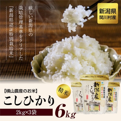 【毎月定期便】関川村産こしひかり6kg(2kg×3袋)ふっくら美味しさ 岩船米 [横山農産]全12回
