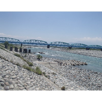 黒部川遊漁承認証　鮎毛釣り　年券