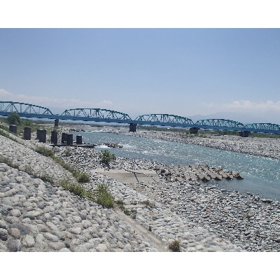 黒部川遊漁承認証　鮎友釣り　年券