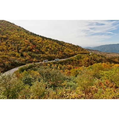 立山黒部アルペンルート　立山駅～室堂(往復)乗車券