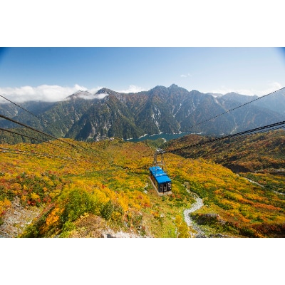 立山黒部アルペンルート　立山駅～黒部湖(往復)乗車券