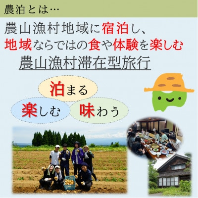 【富山県】とやま農泊 宿泊チケット3,000円券×1枚