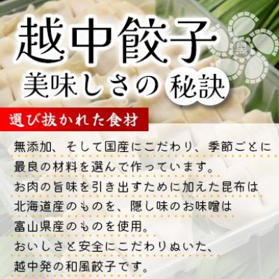 氷見牛入り越中餃子　3パック(48個入り)【配送不可地域：離島】