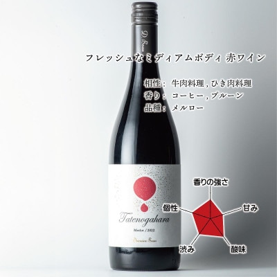 立野原 メルロー 2022【配送不可地域：離島】