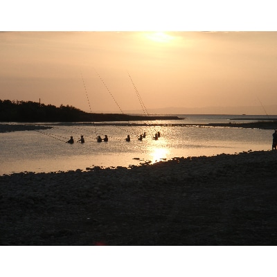 黒部川遊漁承認証　鮎毛釣り　年券