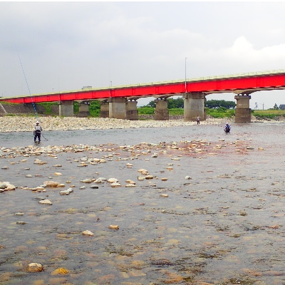 令和7年 庄川 あゆ遊漁承認証 友釣 年券