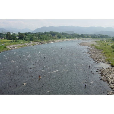 神通川　鮎友釣り年券　1枚