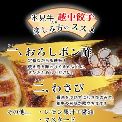 氷見牛入り越中餃子　3パック(48個入り)【配送不可地域：離島】