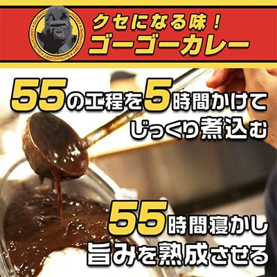 「元気の源」　ゴーゴーカレー中辛　10袋　レトルト　くせになる味
