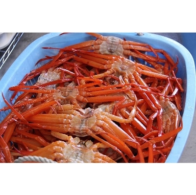 昼セリ見学＆新湊かに小屋で味わう高志の紅ガニ食べ放題プラン(2名様1組ペア)