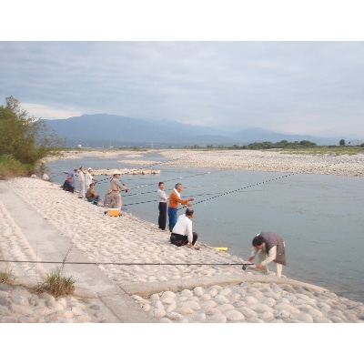 黒部川遊漁承認証　鮎友釣り　年券