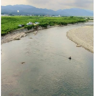 令和7年 庄川 あゆ遊漁承認証 友釣 年券