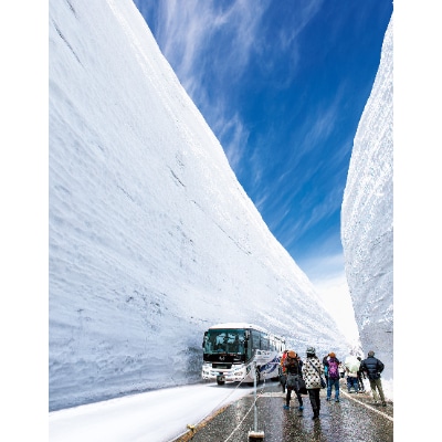 立山黒部アルペンルート　立山駅～室堂(往復)乗車券