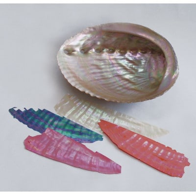 【高岡漆器】杯　立山連峰貝入　黒