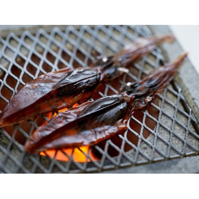 富山湾産ほたるいか　ボイル＆刺身・素干しセット【配送不可地域：離島・北海道・沖縄県・東北・中国・四国・九州】