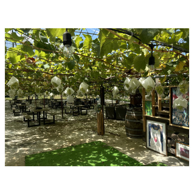 ぶどうジュース、ぶどうとしょうがのシロップセット