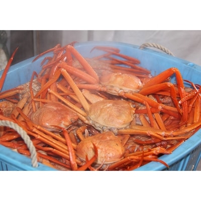 昼セリ見学＆新湊かに小屋で味わう高志の紅ガニ食べ放題プラン(2名様1組ペア)