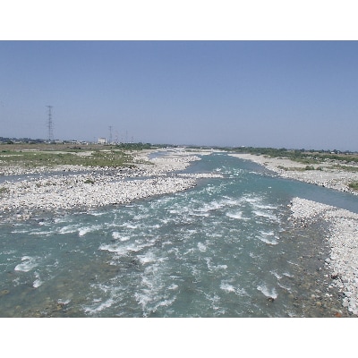 黒部川遊漁承認証　鮎友釣り　年券