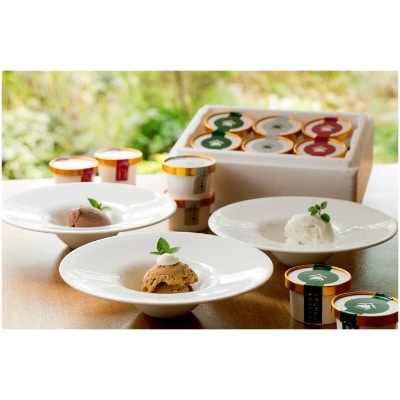 贅沢な大人のアイス　バラエティセット(12個)【配送不可地域：離島】