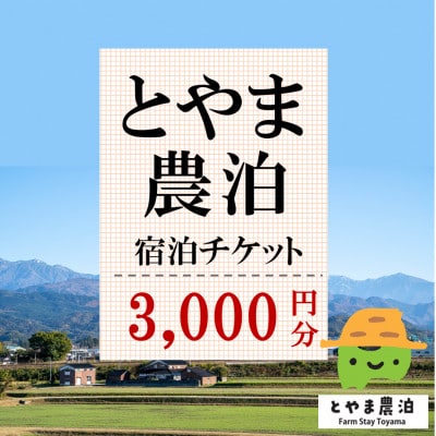 【富山県】とやま農泊 宿泊チケット3,000円券×1枚