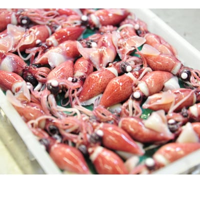 富山湾産ボイルほたるいか　230g×2(からし酢みそ付き)【配送不可地域：離島・北海道・沖縄県・東北・中国・四国・九州】