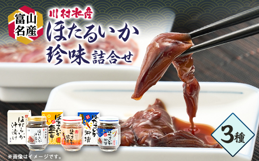 川村水産　ほたるいか塩辛・沖漬　3本【配送不可地域：離島】