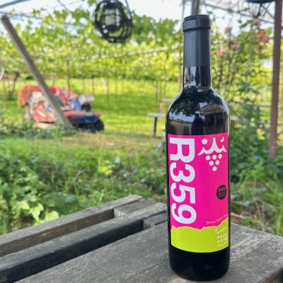 R359(サンゴク)2023【配送不可地域：離島】