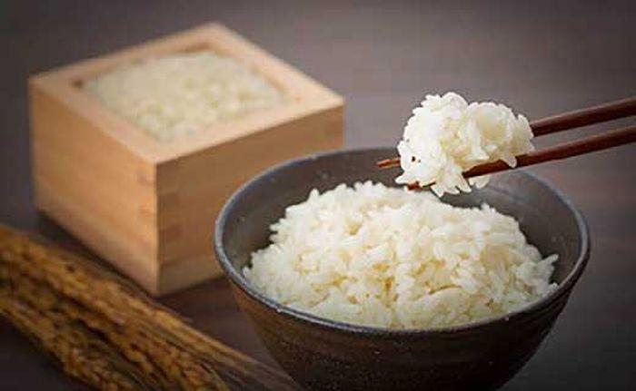 【令和7年産】八町米 コシヒカリ５Kg