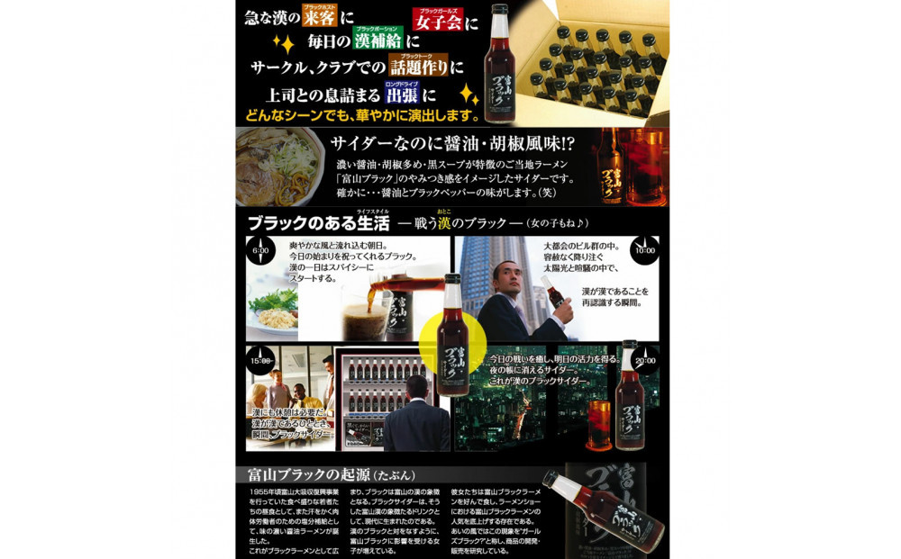 ブラックサイダー 1ケース２0本　炭酸飲料 サイダー ソフトドリンク 黒いサイダー