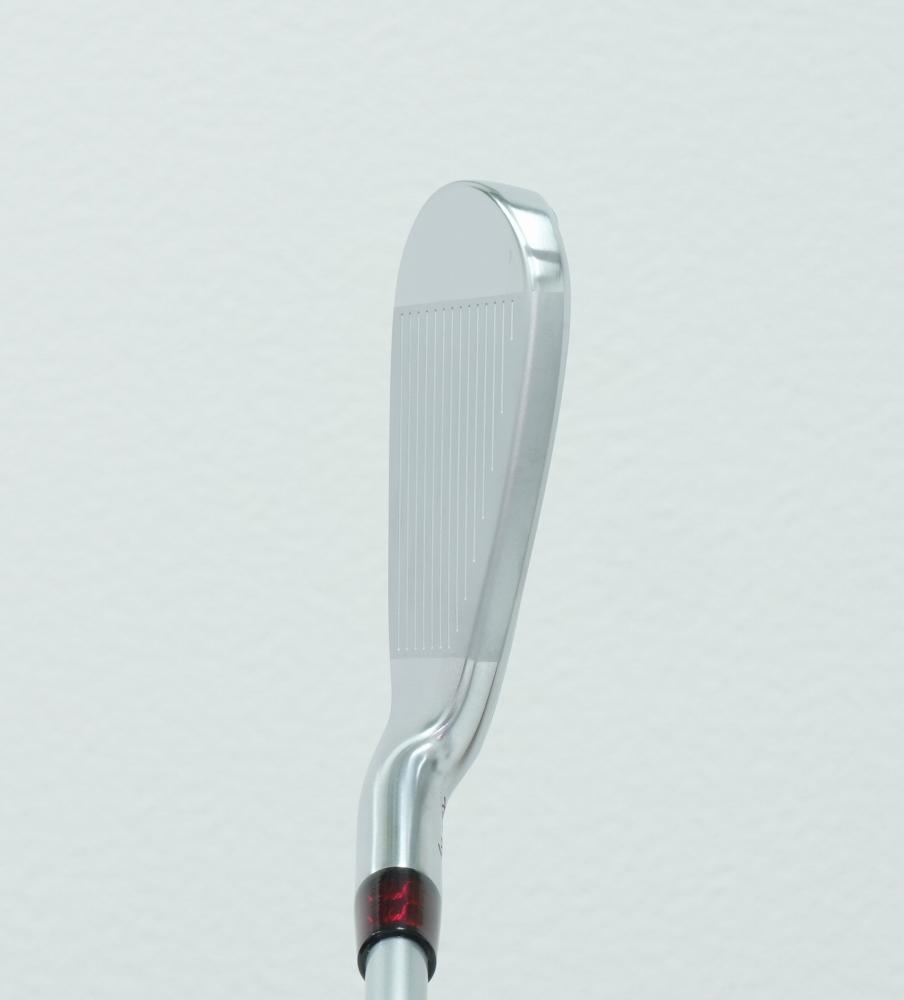 Rex&Regina FORGED IRON ＃5～PW（6I) SET　N.S.PRO 950 GH フレックスR