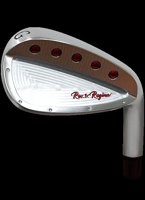 Rex&Regina FORGED IRON GW N.S.PRO 950 GH フレックスS