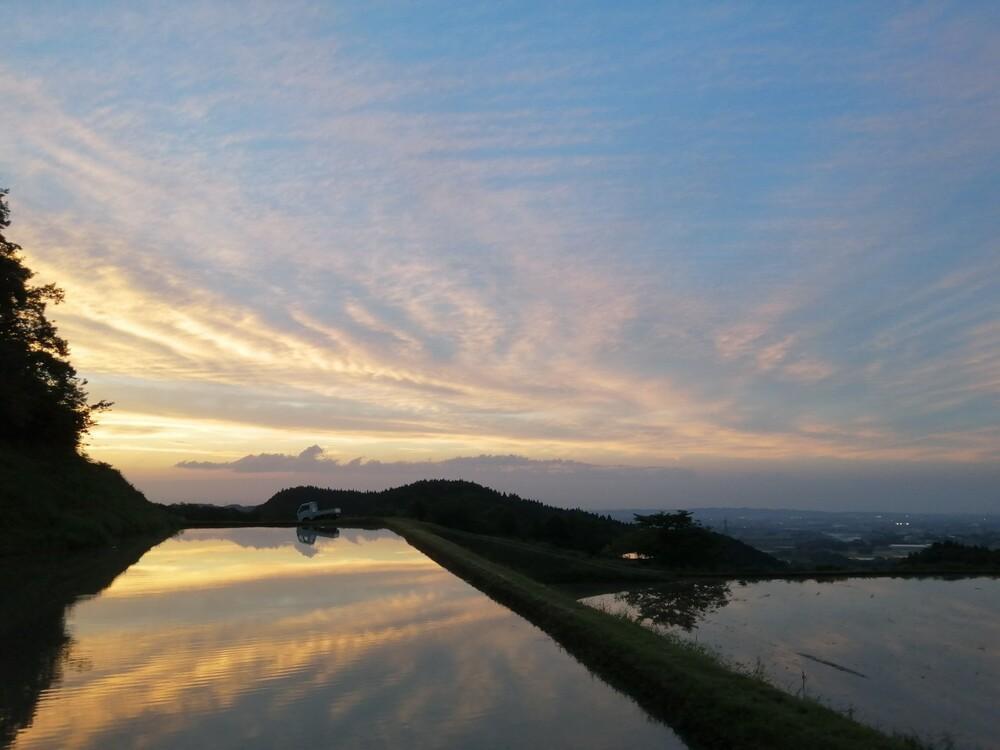 有機米 コシヒカリ 5kg　棚田-tanata-（有機JAS認証米）