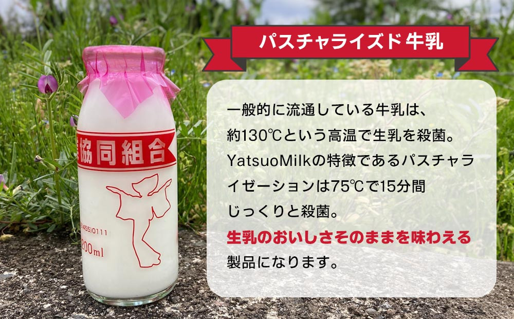 Yatsuo MILK (牛乳)10本セット　富山八尾のおいしいビン牛乳
