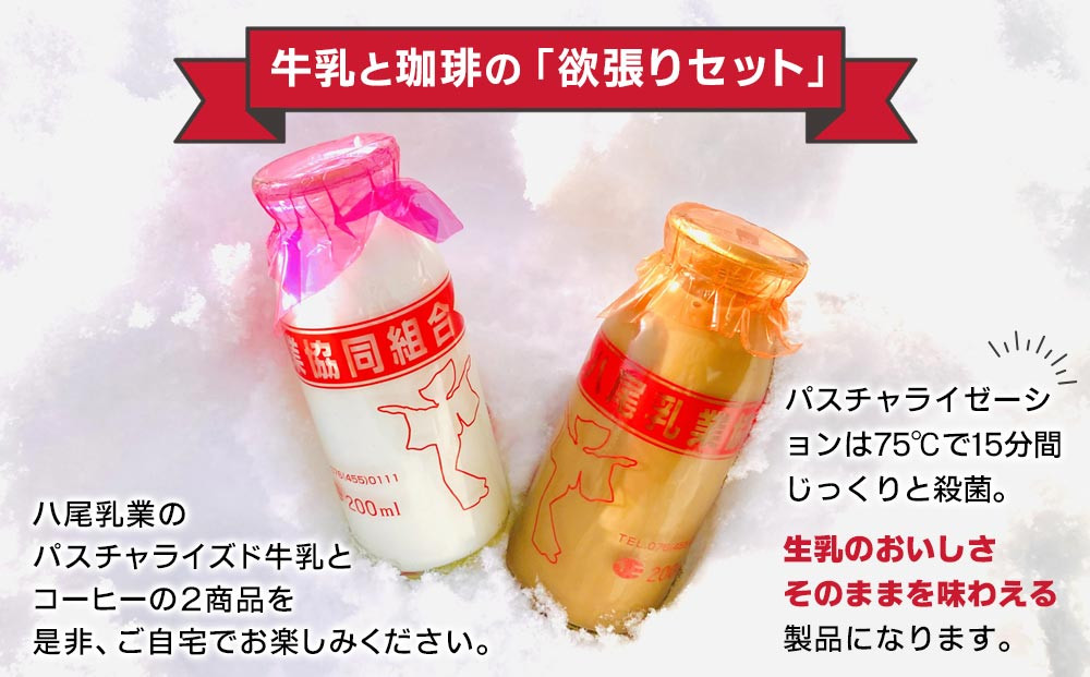 Yatsuo (牛乳・コーヒー) set【各5本】富山八尾のおいしいビン牛乳と珈琲