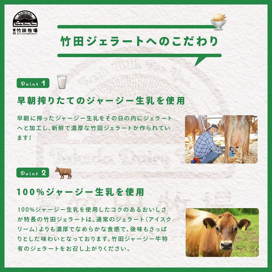 ジャージー牛乳の濃厚ジェラート！竹田ジェラート｜濃厚ミルク味｜2000ml