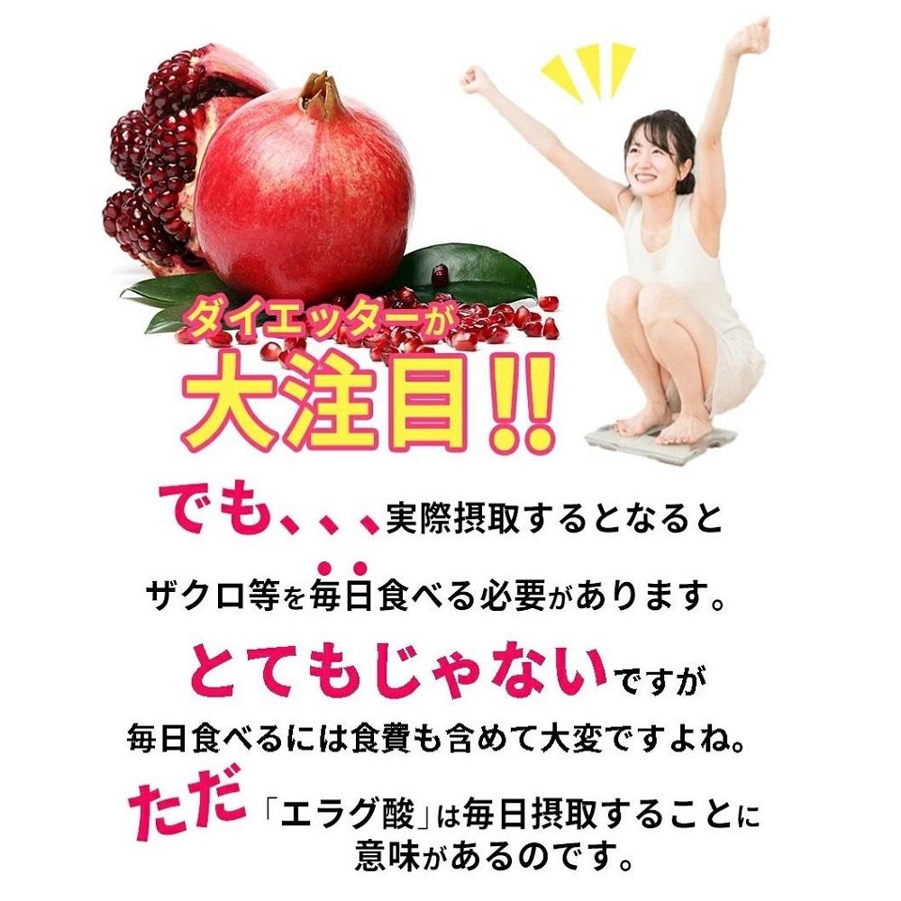 エラグ酸 サプリ 大容量約半年分エラグ酸サプリメント 540粒