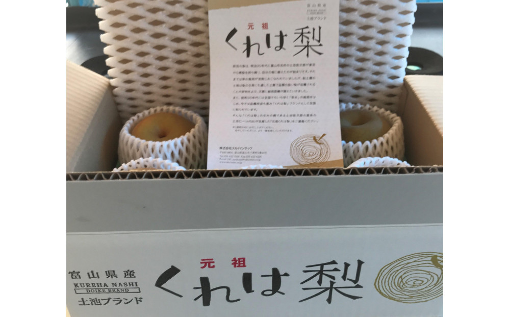 【先行受付】元祖くれは梨 5kg箱