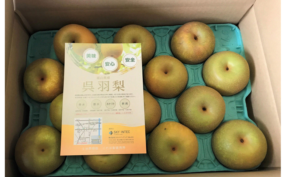 【先行受付】くれは梨　3kg箱