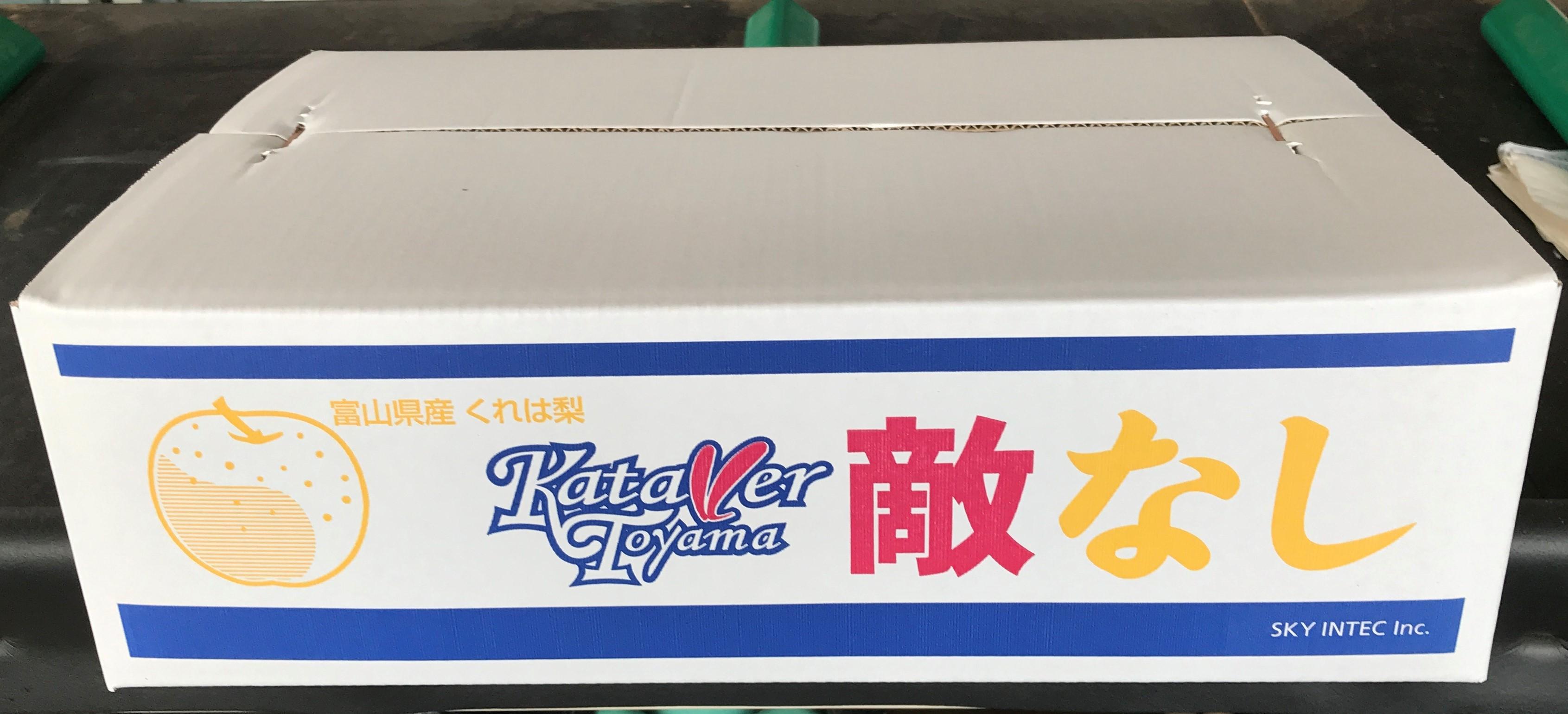 【先行受付】カターレ敵なし(くれは梨 5kg箱)