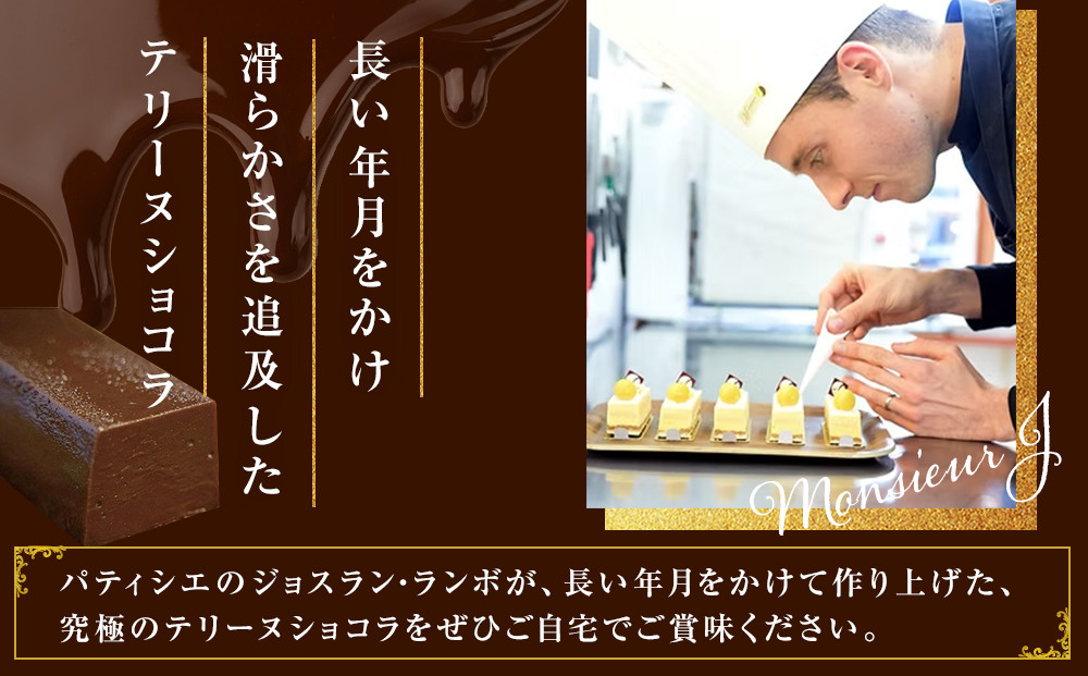 究極のデザートチョコレート【テリーヌショコラピスターチ】 Monsieur J ムッシュー・ジー