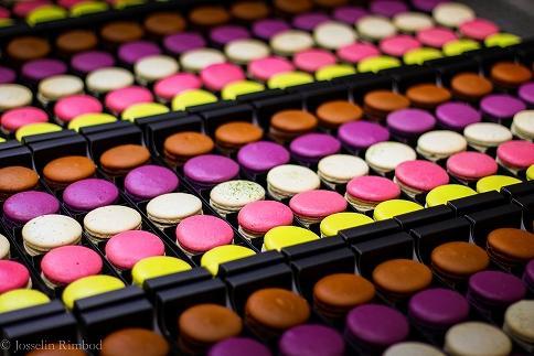 【ふるさと納税限定】 フランス人パティシエ手作り 人気マカロン８個 +季節限定新作マカロン２個　セット