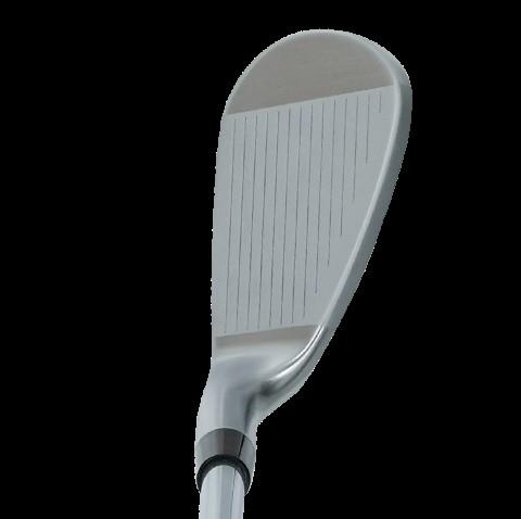 Rex&Regina FORGED IRON GW N.S.PRO 950 GH フレックスS