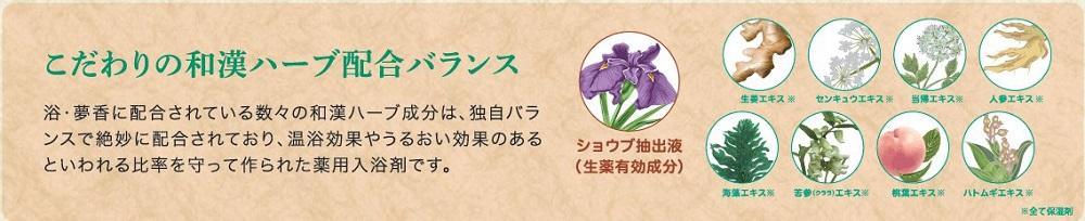 くすりの富山　薬用入浴剤 浴・夢香 (ゆあみ・ゆめか)