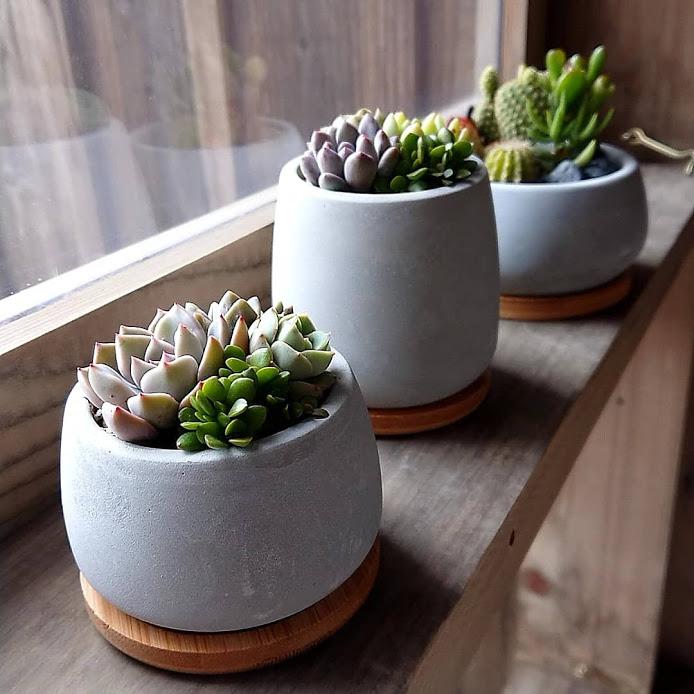 多肉アレンジ2個set（B）